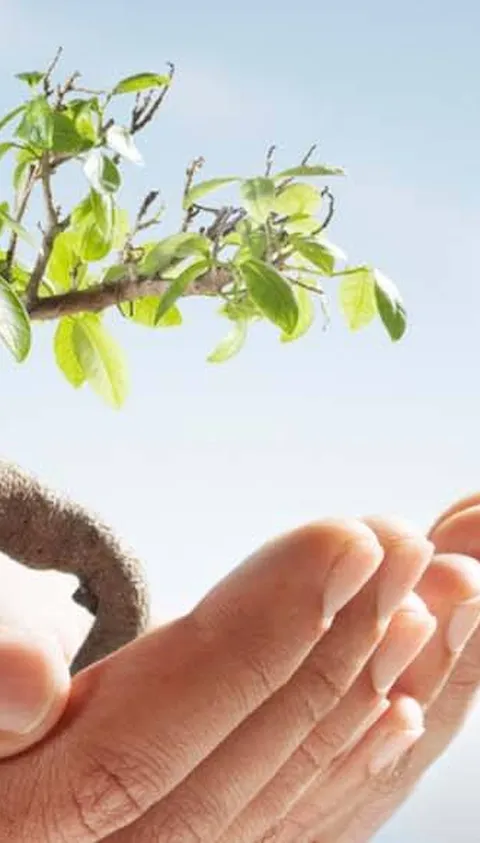 The future of green investment